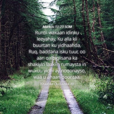 Picture 04 - Markos 11:23 SOM - Runtii waxaan idinku leeyahay, Ku alla kii - Bible Verse Picture