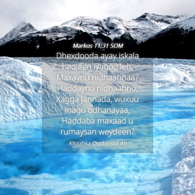 Picture 04 - Markos 11:31 SOM - Dhexdooda ayay iskala hadleen iyagoo leh, Maxaynu - Bible Verse Picture