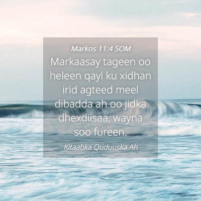 Picture 04 - Markos 11:4 SOM - Markaasay tageen oo heleen qayl ku xidhan irid - Bible Verse Picture