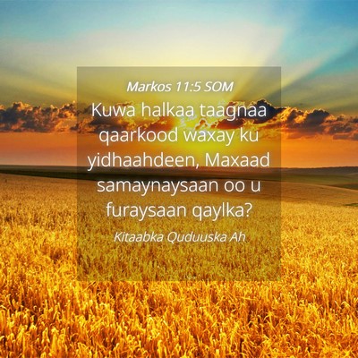 Picture 04 - Markos 11:5 SOM - Kuwa halkaa taagnaa qaarkood waxay ku - Bible Verse Picture