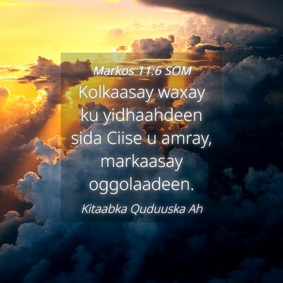 Picture 04 - Markos 11:6 SOM - Kolkaasay waxay ku yidhaahdeen sida Ciise u - Bible Verse Picture