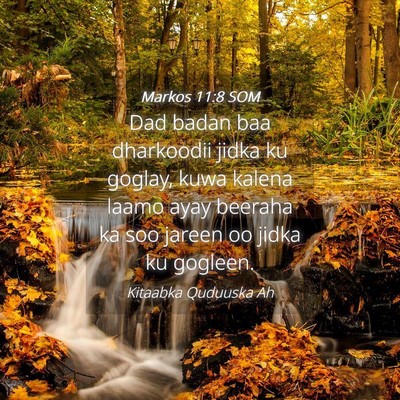 Picture 04 - Markos 11:8 SOM - Dad badan baa dharkoodii jidka ku goglay, kuwa - Bible Verse Picture