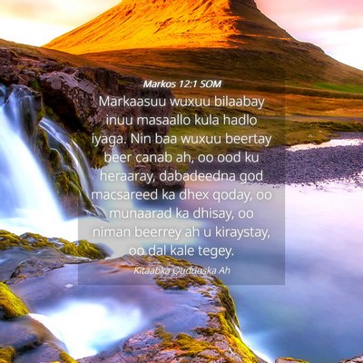 Picture 04 - Markos 12:1 SOM - Markaasuu wuxuu bilaabay inuu masaallo kula hadlo - Bible Verse Picture