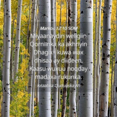 Picture 04 - Markos 12:10 SOM - Miyaanaydin weligiin Qorniinka ka akhriyin - Bible Verse Picture