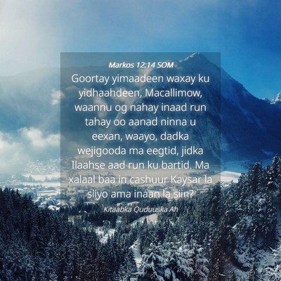 Picture 04 - Markos 12:14 SOM - Goortay yimaadeen waxay ku yidhaahdeen, - Bible Verse Picture