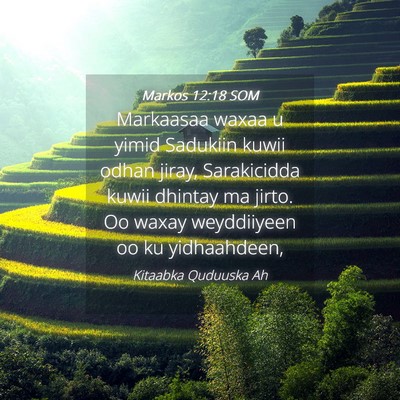 Picture 04 - Markos 12:18 SOM - Markaasaa waxaa u yimid Sadukiin kuwii odhan - Bible Verse Picture