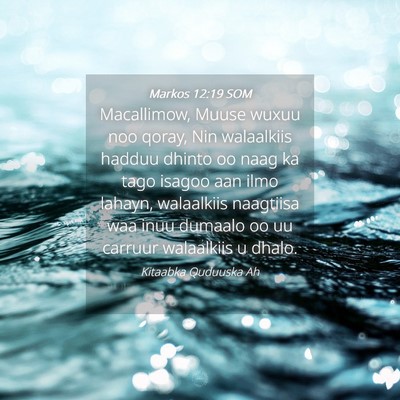 Picture 04 - Markos 12:19 SOM - Macallimow, Muuse wuxuu noo qoray, Nin walaalkiis - Bible Verse Picture