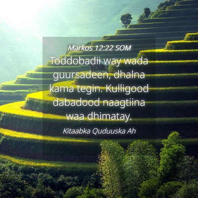 Picture 04 - Markos 12:22 SOM - Toddobadii way wada guursadeen, dhalna kama - Bible Verse Picture