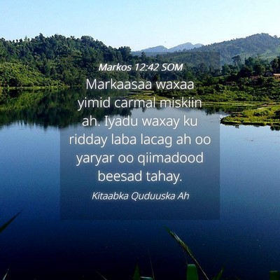 Picture 04 - Markos 12:42 SOM - Markaasaa waxaa yimid carmal miskiin ah. Iyadu - Bible Verse Picture