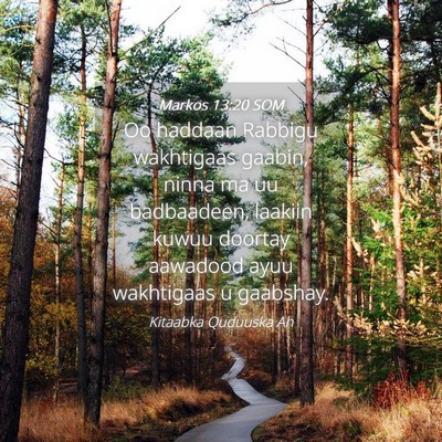 Picture 04 - Markos 13:20 SOM - Oo haddaan Rabbigu wakhtigaas gaabin, ninna ma uu - Bible Verse Picture