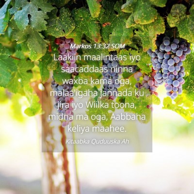 Picture 04 - Markos 13:32 SOM - Laakiin maalintaas iyo saacaddaas ninna waxba - Bible Verse Picture