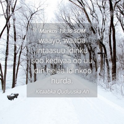 Picture 04 - Markos 13:36 SOM - waayo, waaba intaasuu idinku soo kediyaa oo uu - Bible Verse Picture