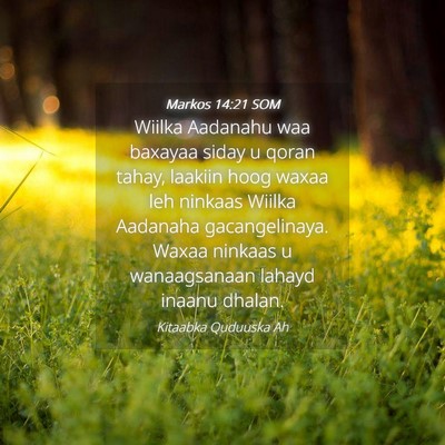 Picture 04 - Markos 14:21 SOM - Wiilka Aadanahu waa baxayaa siday u qoran tahay, - Bible Verse Picture