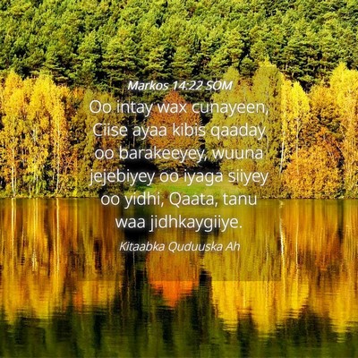 Picture 04 - Markos 14:22 SOM - Oo intay wax cunayeen, Ciise ayaa kibis qaaday oo - Bible Verse Picture