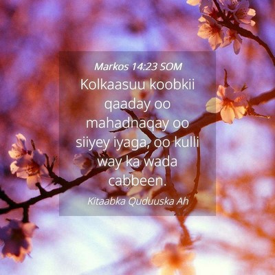 Picture 04 - Markos 14:23 SOM - Kolkaasuu koobkii qaaday oo mahadnaqay oo siiyey - Bible Verse Picture