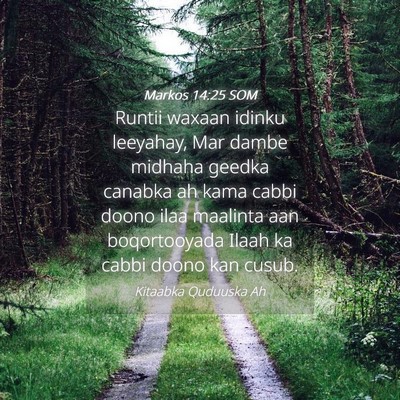 Picture 04 - Markos 14:25 SOM - Runtii waxaan idinku leeyahay, Mar dambe midhaha - Bible Verse Picture