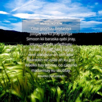 Picture 04 - Markos 14:3 SOM - Ciise goortuu Beytaniya joogay oo ku jiray guriga - Bible Verse Picture