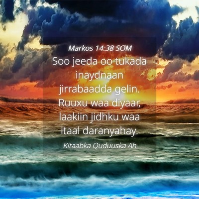 Picture 04 - Markos 14:38 SOM - Soo jeeda oo tukada inaydnaan jirrabaadda gelin. - Bible Verse Picture