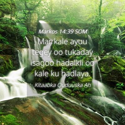Picture 04 - Markos 14:39 SOM - Mar kale ayuu tegey oo tukaday isagoo hadalkii oo - Bible Verse Picture