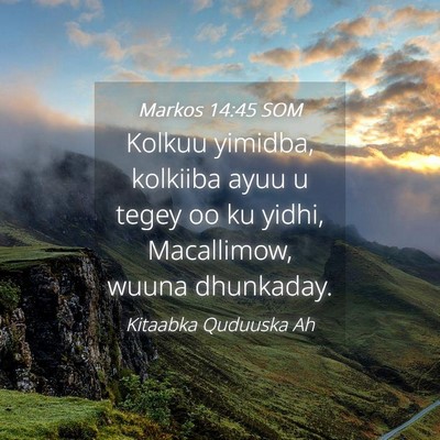 Picture 04 - Markos 14:45 SOM - Kolkuu yimidba, kolkiiba ayuu u tegey oo ku - Bible Verse Picture