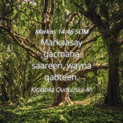 Picture 04 - Markos 14:46 SOM - Markaasay gacmaha saareen, wayna - Bible Verse Picture