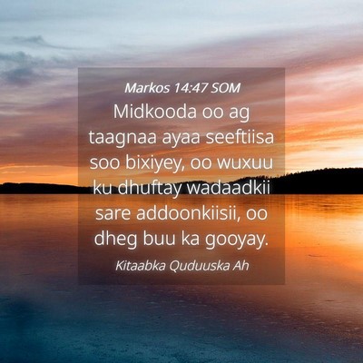 Picture 04 - Markos 14:47 SOM - Midkooda oo ag taagnaa ayaa seeftiisa soo - Bible Verse Picture