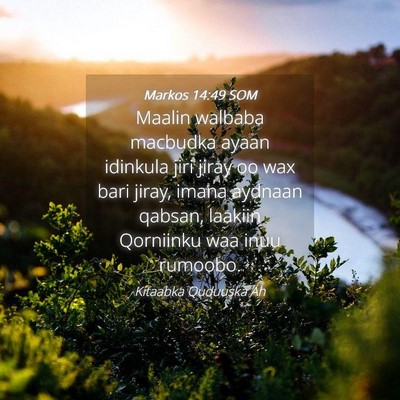Picture 04 - Markos 14:49 SOM - Maalin walbaba macbudka ayaan idinkula jiri jiray - Bible Verse Picture
