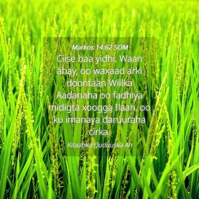 Picture 04 - Markos 14:62 SOM - Ciise baa yidhi, Waan ahay, oo waxaad arki - Bible Verse Picture