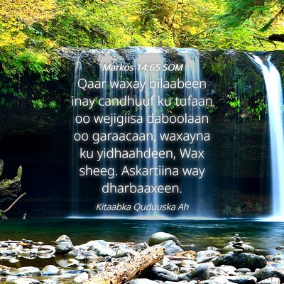 Picture 04 - Markos 14:65 SOM - Qaar waxay bilaabeen inay candhuuf ku tufaan oo - Bible Verse Picture