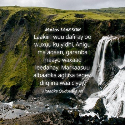 Picture 04 - Markos 14:68 SOM - Laakiin wuu dafiray oo wuxuu ku yidhi, Anigu ma - Bible Verse Picture