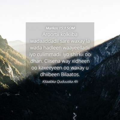 Picture 04 - Markos 15:1 SOM - Aroortii kolkiiba wadaaddadii sare waxay la wada - Bible Verse Picture