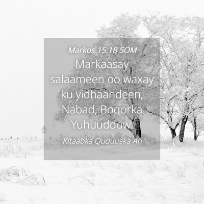 Picture 04 - Markos 15:18 SOM - Markaasay salaameen oo waxay ku yidhaahdeen, - Bible Verse Picture