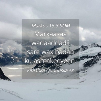 Picture 04 - Markos 15:3 SOM - Markaasaa wadaaddadii sare wax badan ku - Bible Verse Picture