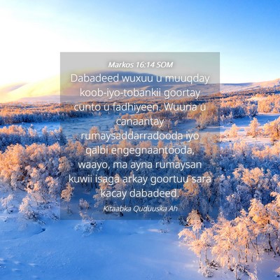 Picture 04 - Markos 16:14 SOM - Dabadeed wuxuu u muuqday koob-iyo-tobankii - Bible Verse Picture