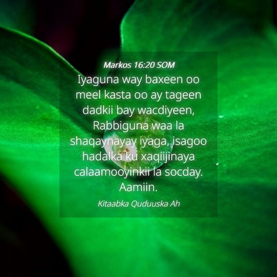 Picture 04 - Markos 16:20 SOM - Iyaguna way baxeen oo meel kasta oo ay tageen - Bible Verse Picture