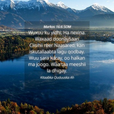 Picture 04 - Markos 16:6 SOM - Wuxuu ku yidhi, Ha nexina. Waxaad doonaysaan - Bible Verse Picture