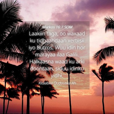 Picture 04 - Markos 16:7 SOM - Laakiin taga, oo waxaad ku tidhaahdaan xertiisii - Bible Verse Picture