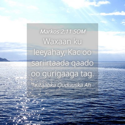Picture 04 - Markos 2:11 SOM - Waxaan ku leeyahay, Kac oo sariirtaada qaado oo - Bible Verse Picture