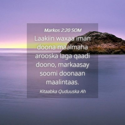 Picture 04 - Markos 2:20 SOM - Laakiin waxaa iman doona maalmaha arooska laga - Bible Verse Picture