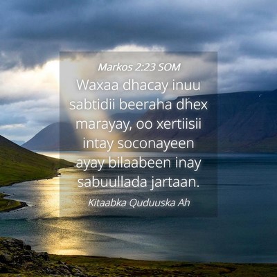 Picture 04 - Markos 2:23 SOM - Waxaa dhacay inuu sabtidii beeraha dhex marayay, - Bible Verse Picture