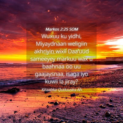 Picture 04 - Markos 2:25 SOM - Wuxuu ku yidhi, Miyaydnaan weligiin akhriyin - Bible Verse Picture