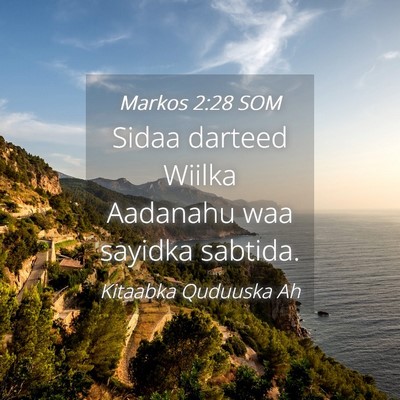 Picture 04 - Markos 2:28 SOM - Sidaa darteed Wiilka Aadanahu waa sayidka - Bible Verse Picture