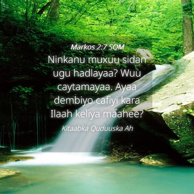 Picture 04 - Markos 2:7 SOM - Ninkanu muxuu sidan ugu hadlayaa? Wuu caytamayaa. - Bible Verse Picture
