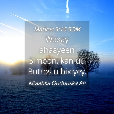 Picture 04 - Markos 3:16 SOM - Waxay ahaayeen Simoon, kan uu Butros u - Bible Verse Picture