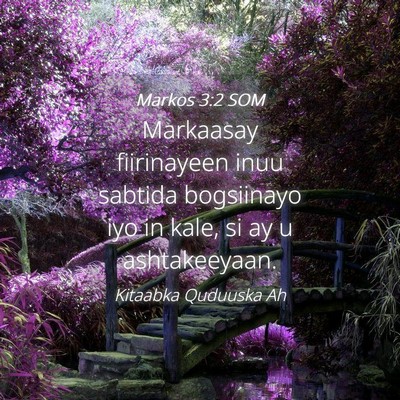 Picture 04 - Markos 3:2 SOM - Markaasay fiirinayeen inuu sabtida bogsiinayo iyo - Bible Verse Picture