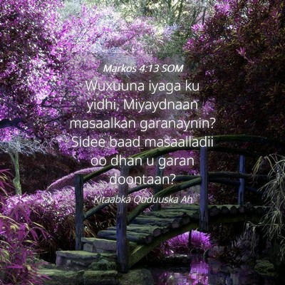 Picture 04 - Markos 4:13 SOM - Wuxuuna iyaga ku yidhi, Miyaydnaan masaalkan - Bible Verse Picture