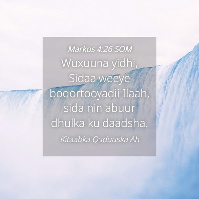 Picture 04 - Markos 4:26 SOM - Wuxuuna yidhi, Sidaa weeye boqortooyadii Ilaah, - Bible Verse Picture