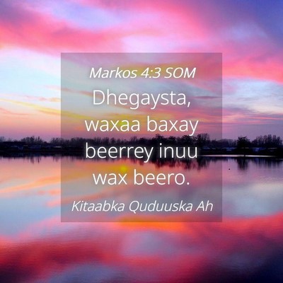 Picture 04 - Markos 4:3 SOM - Dhegaysta, waxaa baxay beerrey inuu wax - Bible Verse Picture