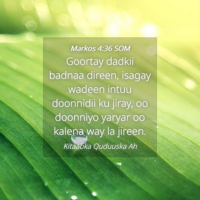 Picture 04 - Markos 4:36 SOM - Goortay dadkii badnaa direen, isagay wadeen intuu - Bible Verse Picture
