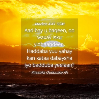 Picture 04 - Markos 4:41 SOM - Aad bay u baqeen, oo waxay isku yidhaahdeen, - Bible Verse Picture
